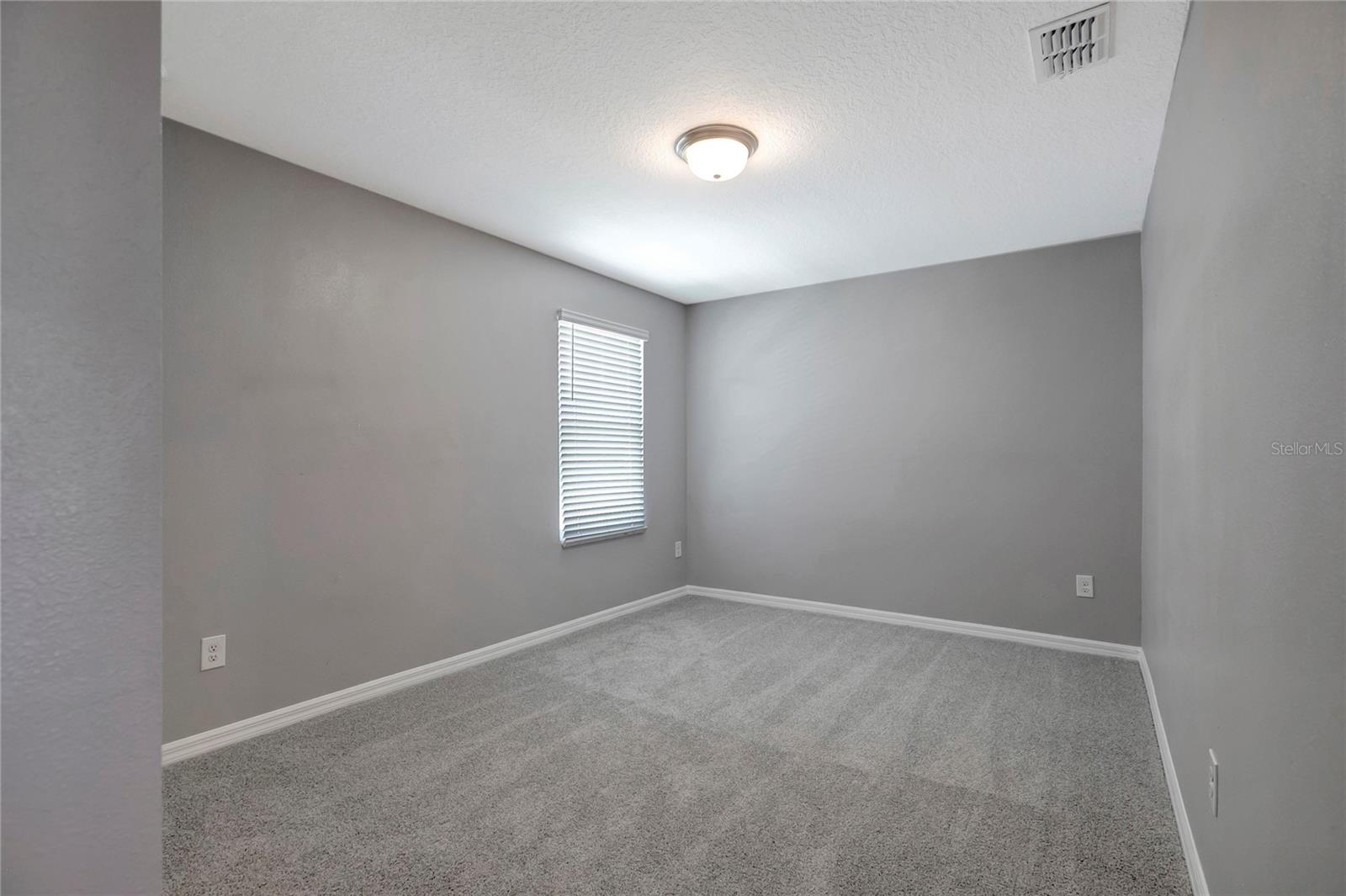38689 HARLOW ROSE DR — photo 44