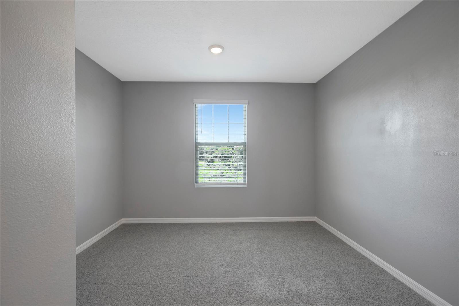 38689 HARLOW ROSE DR — photo 36
