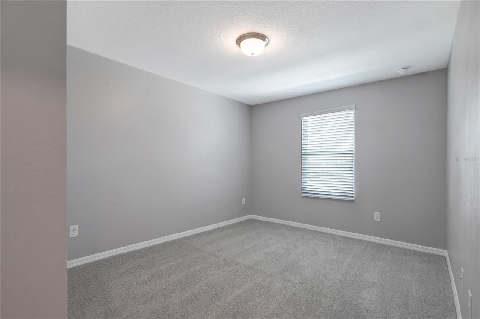 38689 HARLOW ROSE DR — photo 42