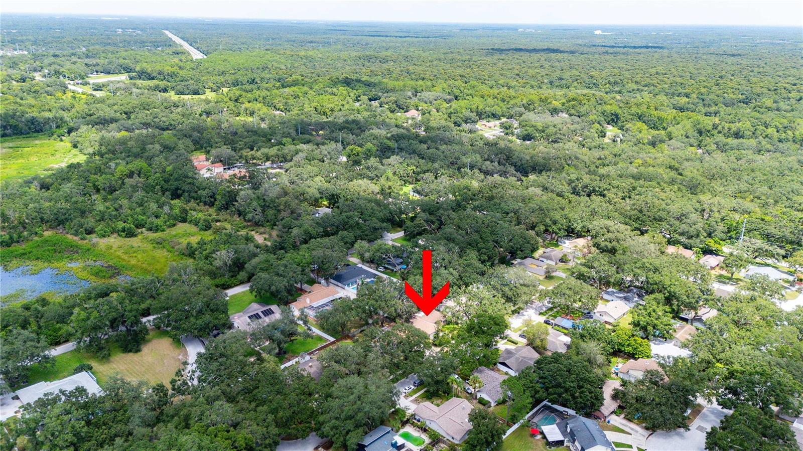 2423 FORREST CREST CIR — photo 45