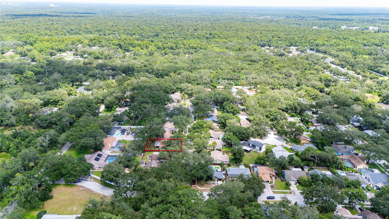 2423 FORREST CREST CIR — photo 44