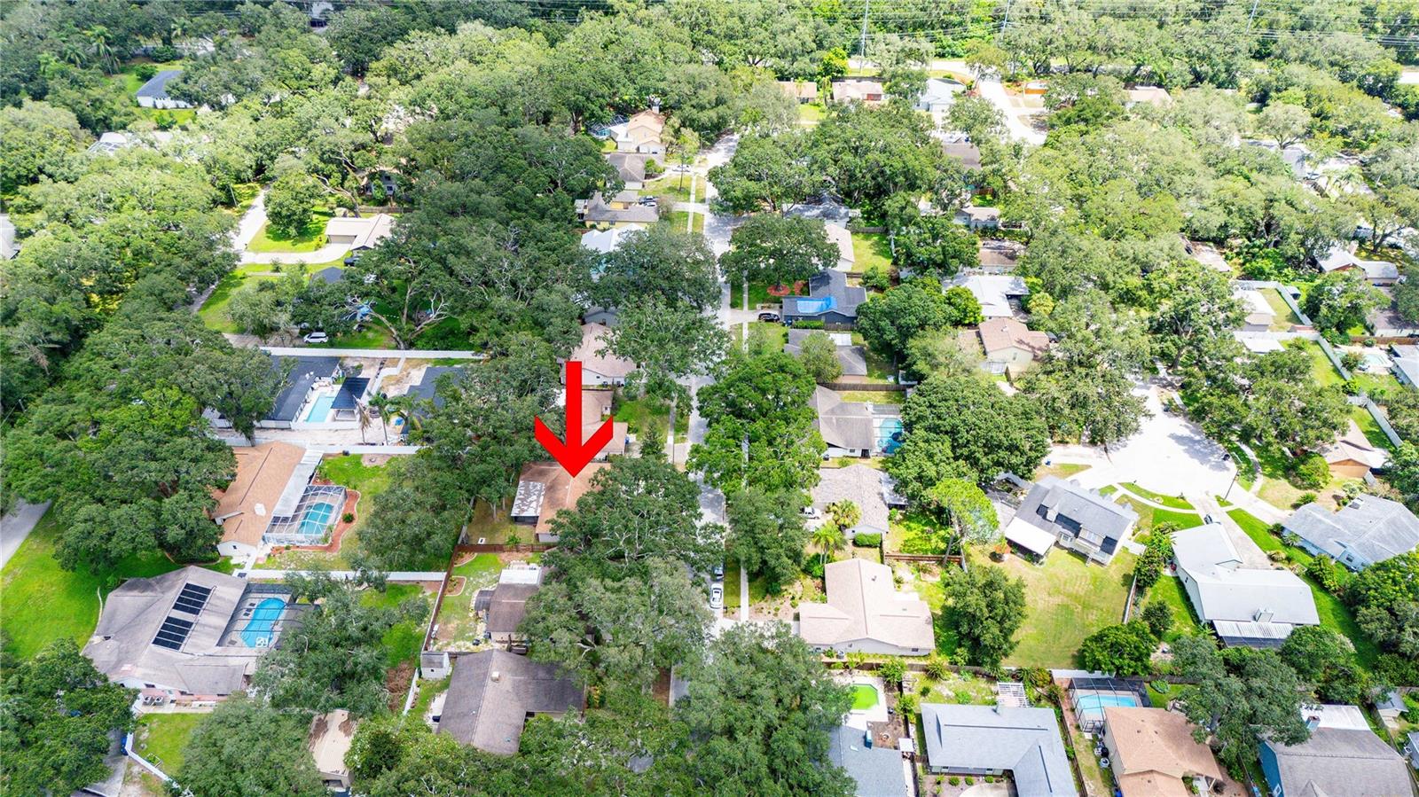 2423 FORREST CREST CIR — photo 43