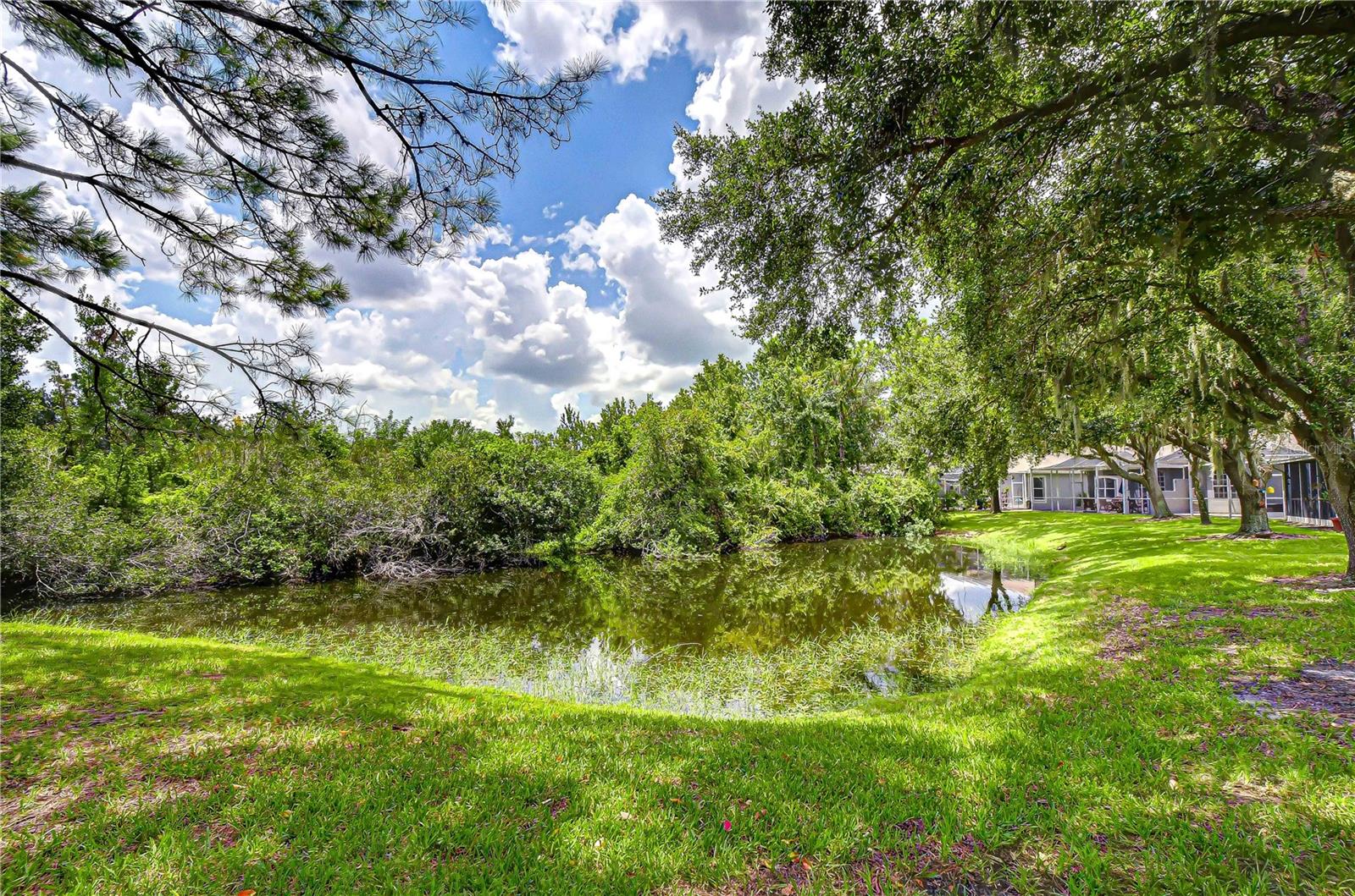 6026 SANDHILL RIDGE DR — photo 28