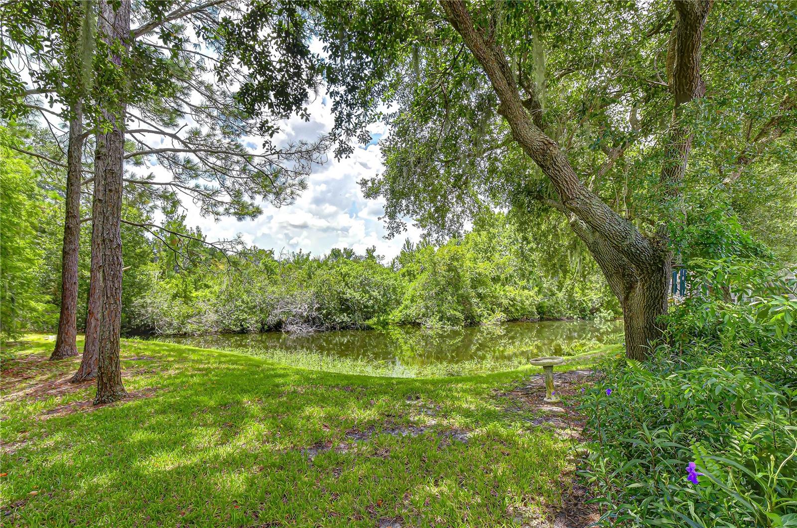 6026 SANDHILL RIDGE DR — photo 18