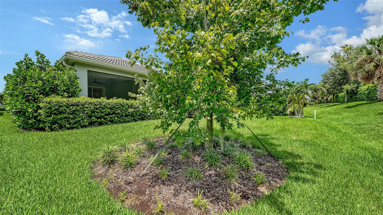 3355 ANCHOR BAY TRL — photo 41