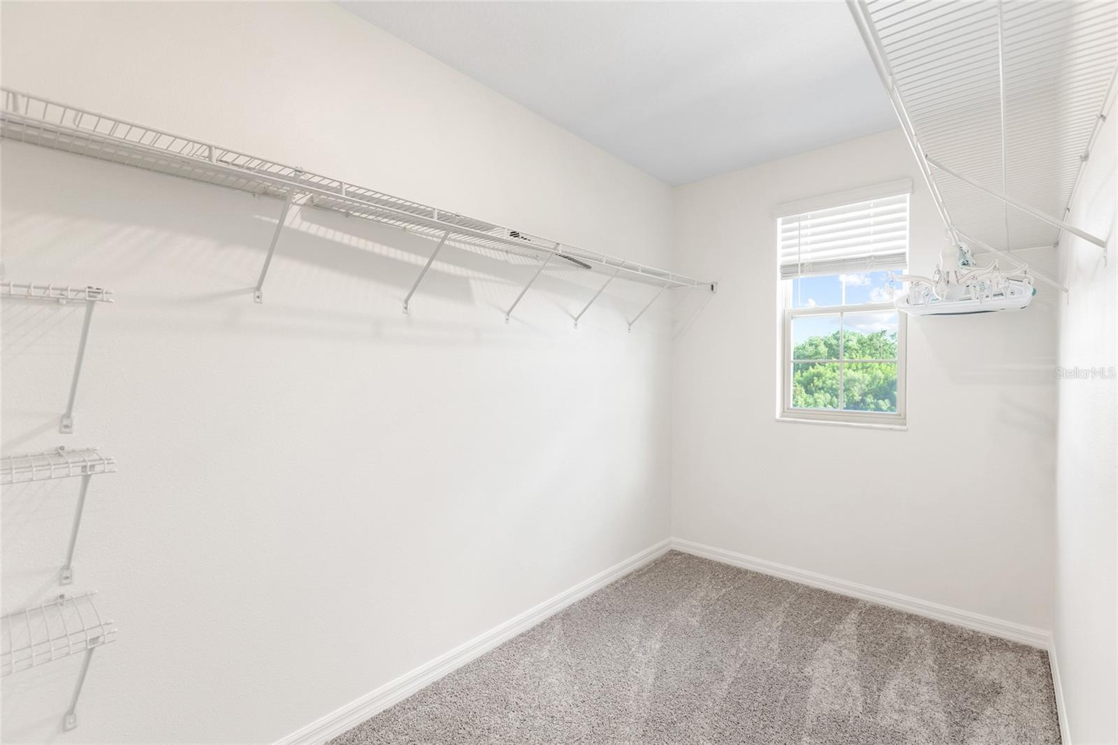 7310 PEARLY EVERLASTING AVE — photo 16