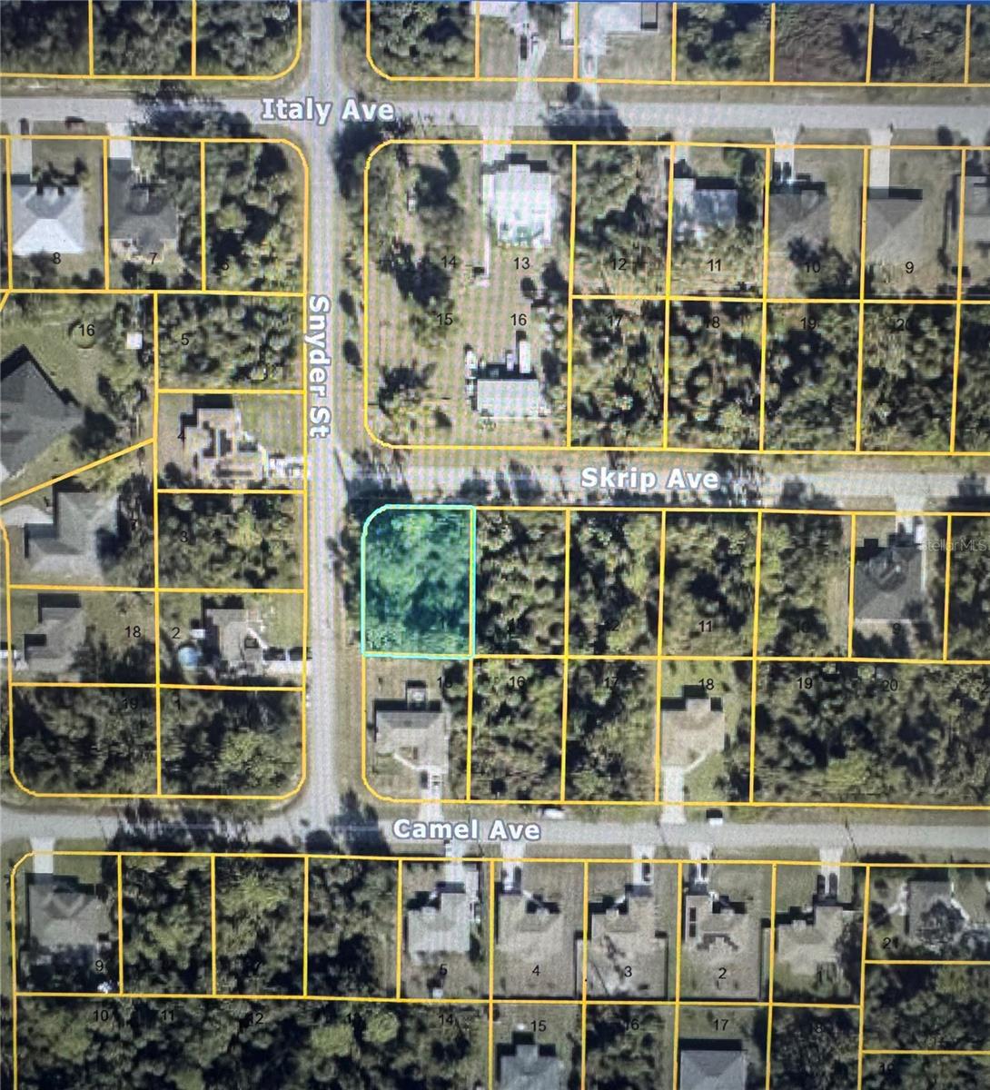 SKRIP AVE — photo 2
