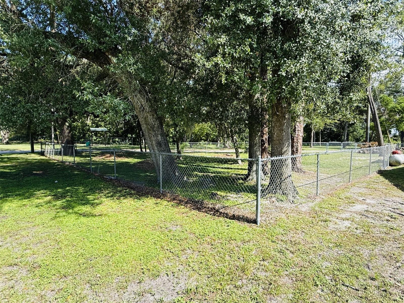 39048 BLUE JAY AVE — photo 3