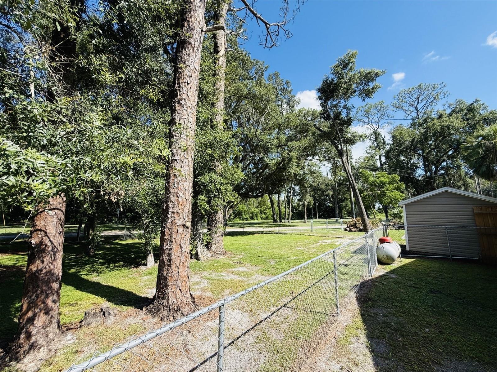 39048 BLUE JAY AVE — photo 5