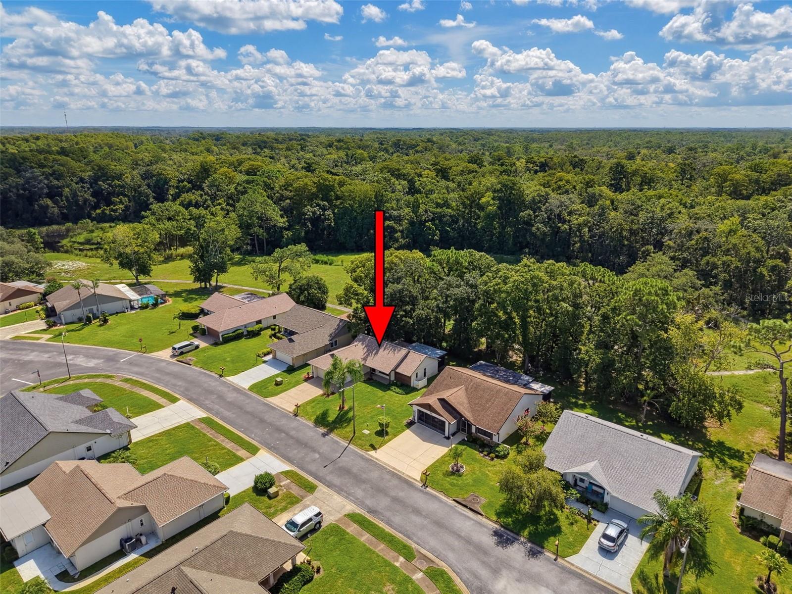 7308 BALTUSROL DR — photo 35
