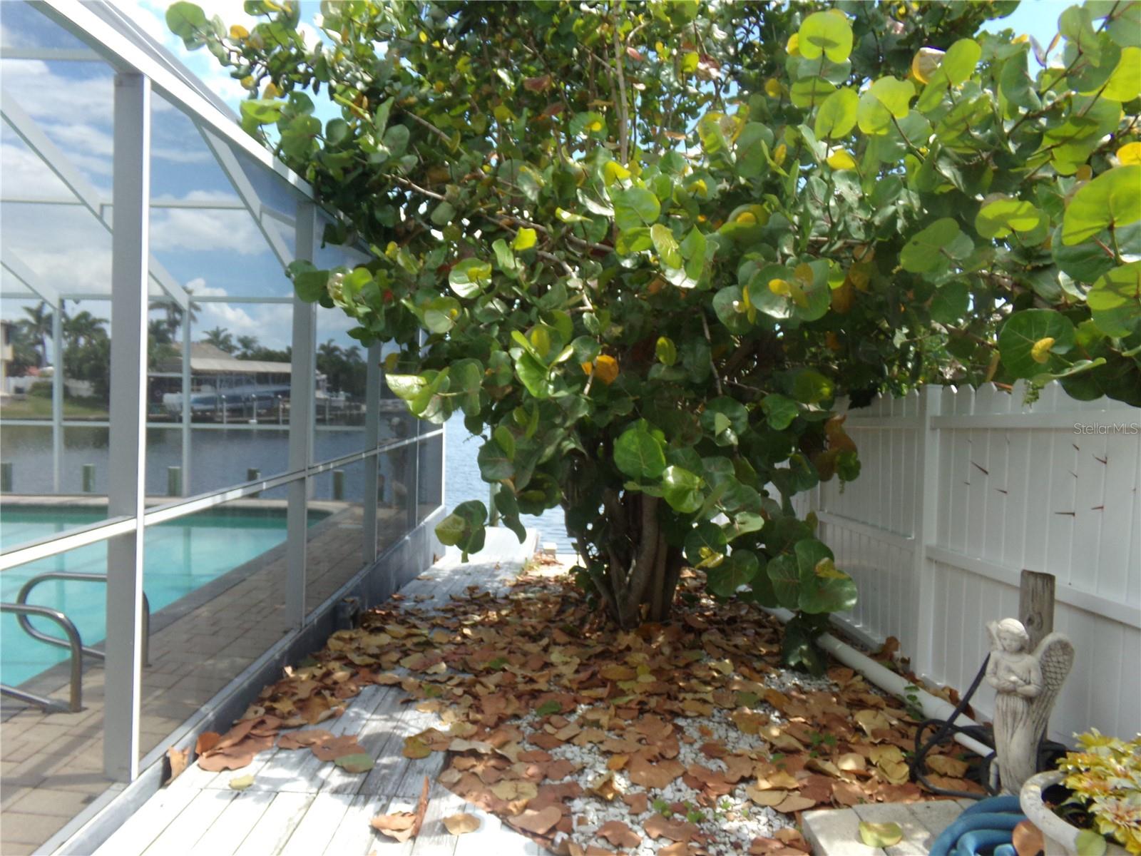 9312 KINGSTON RD — photo 45
