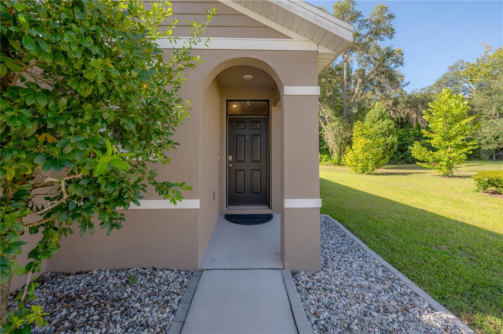 9031 WATER CHESTNUT DR — photo 4