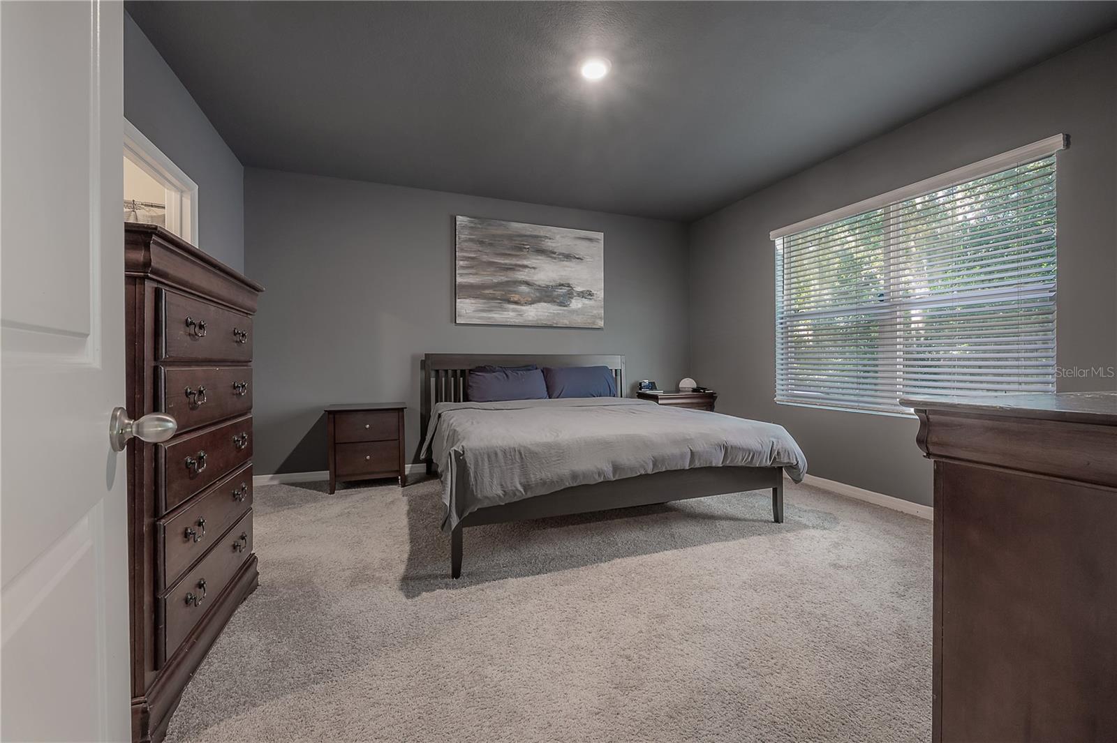 9031 WATER CHESTNUT DR — photo 16