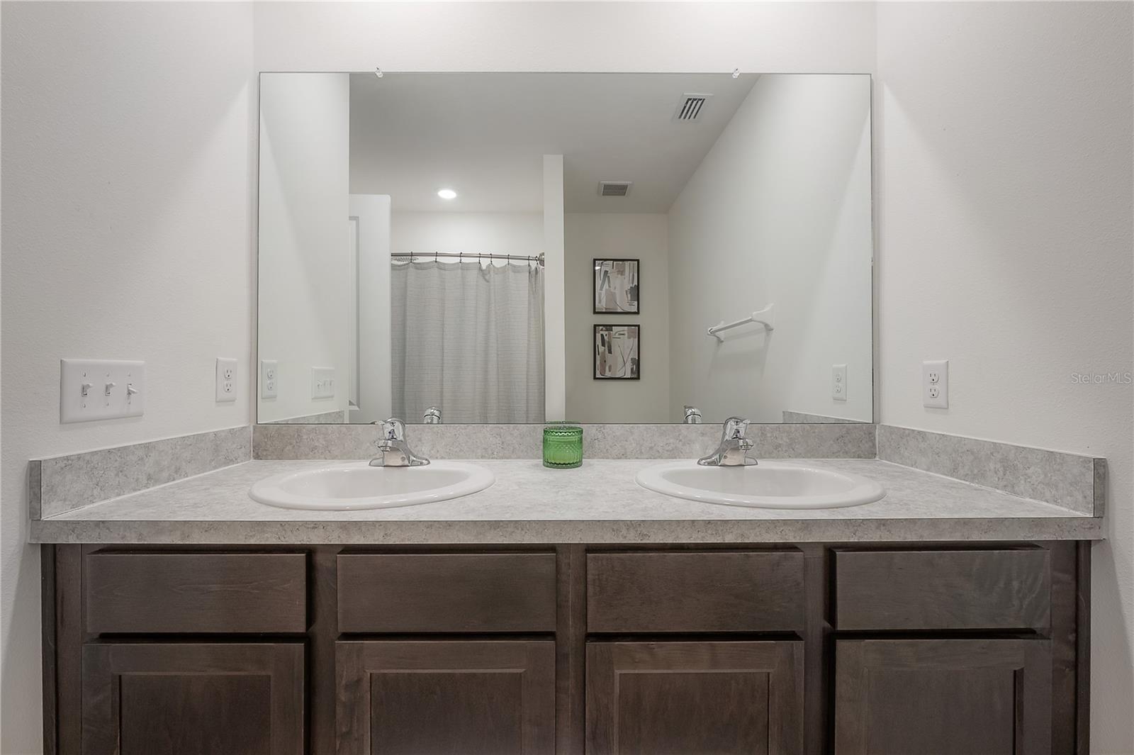 9031 WATER CHESTNUT DR — photo 20