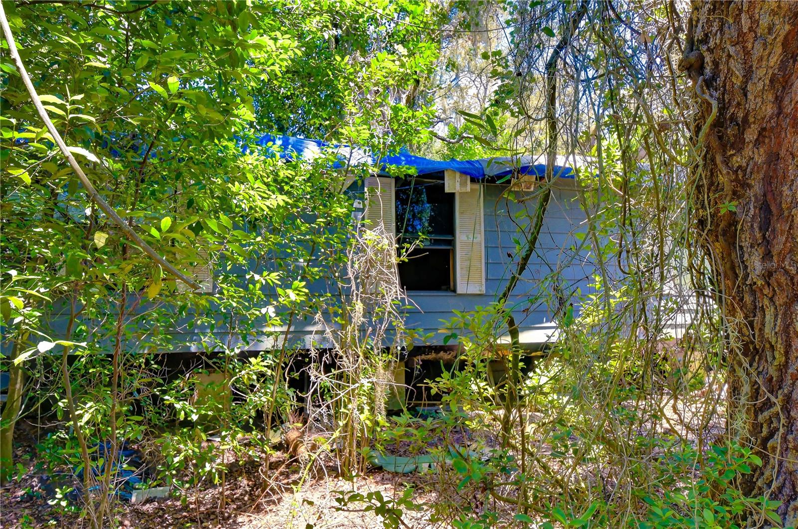 3801 PATE RD — photo 49