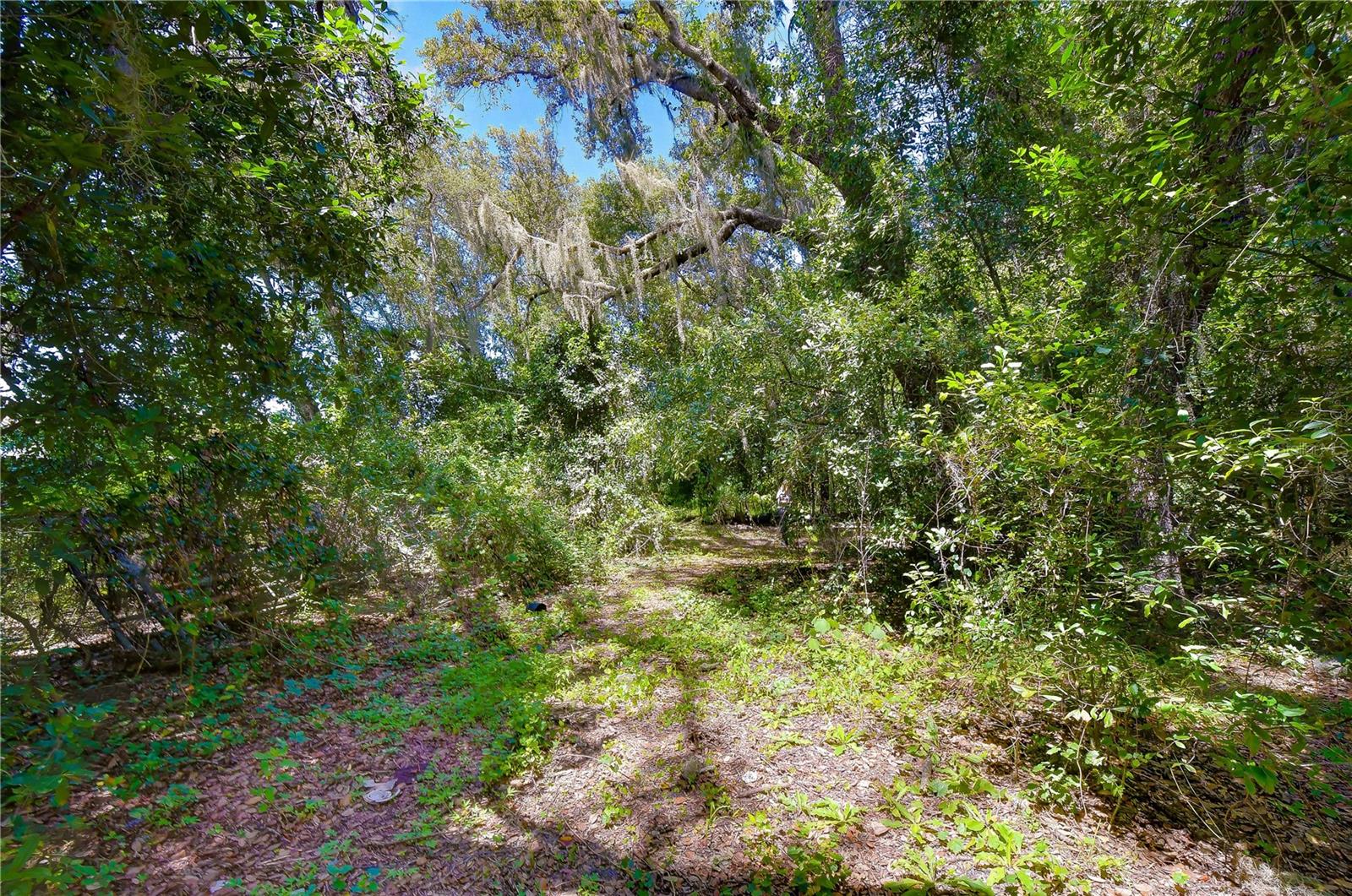 3801 PATE RD — photo 52