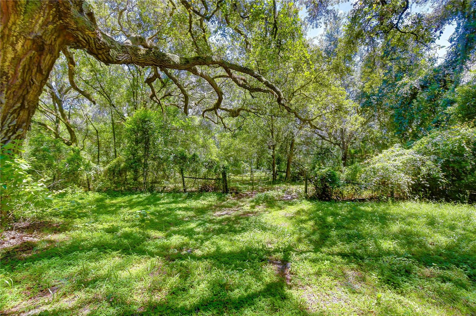 3801 PATE RD — photo 61