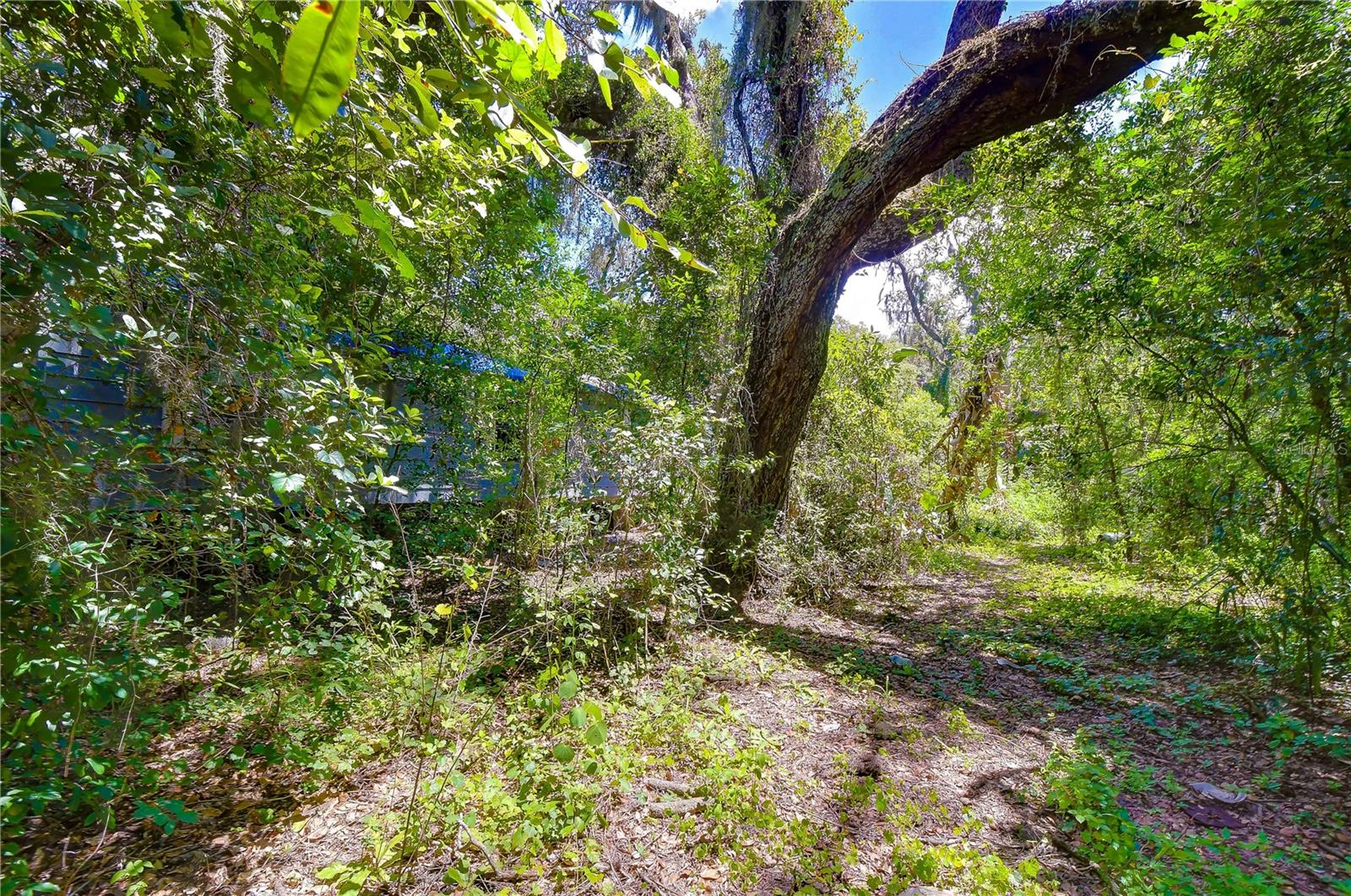 3801 PATE RD — photo 47