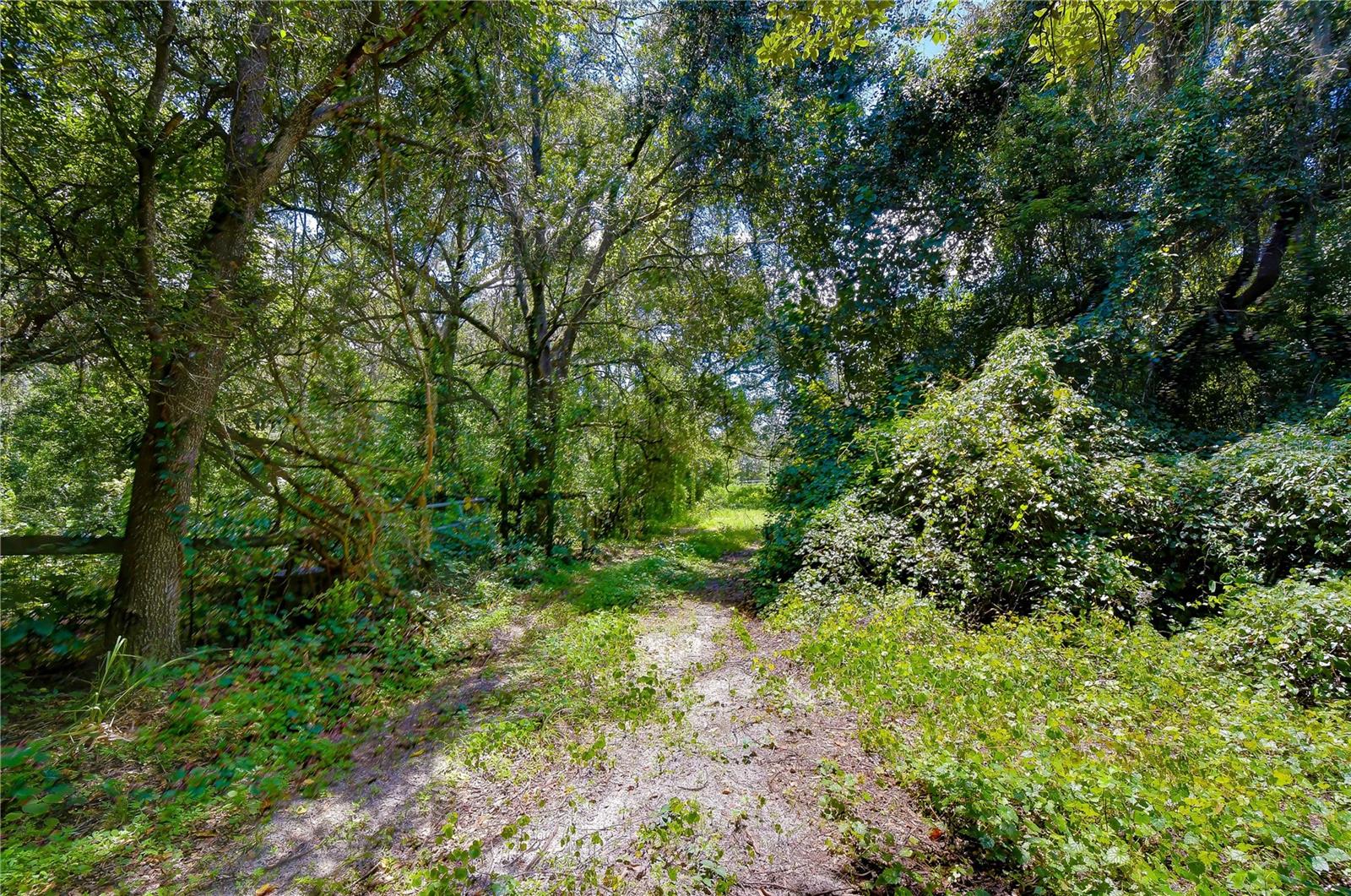3801 PATE RD — photo 29