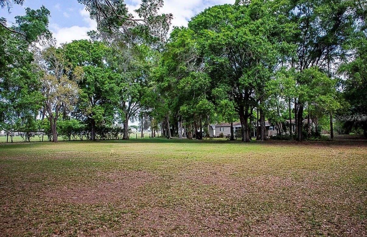 13815 PLAINVIEW RD #Lot 1 — photo 59