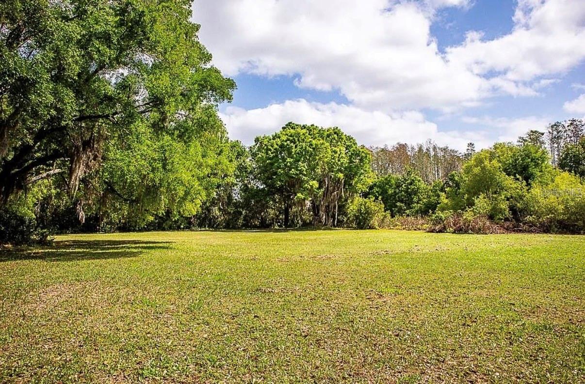 13815 PLAINVIEW RD #Lot 1 — photo 60