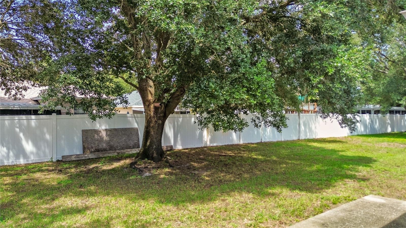 34703 BIRCHMONT LN — photo 9