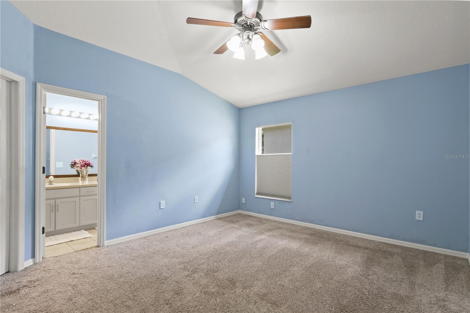 34703 BIRCHMONT LN — photo 29