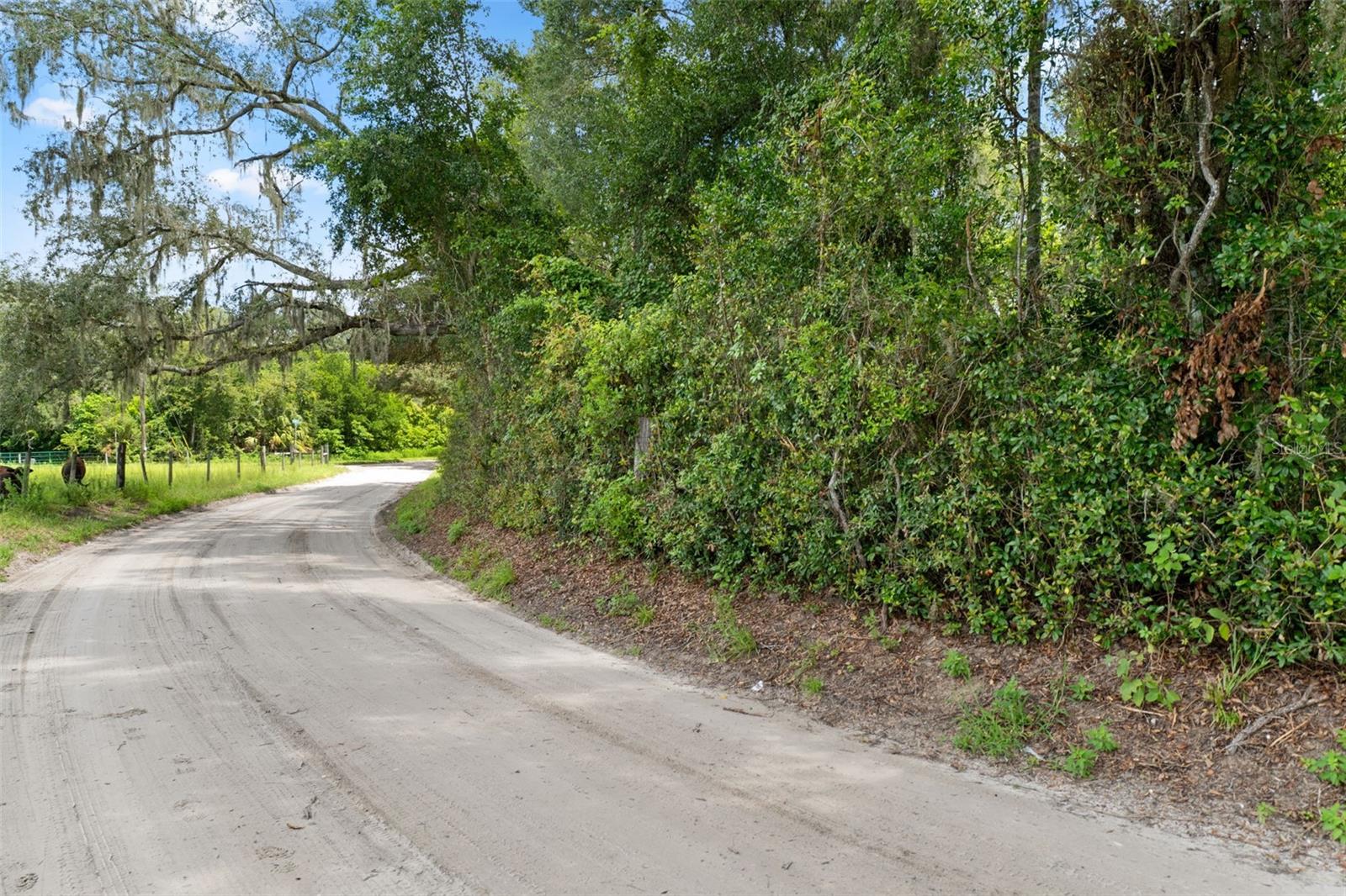 0 TRILBY CUTOFF RD — photo 7