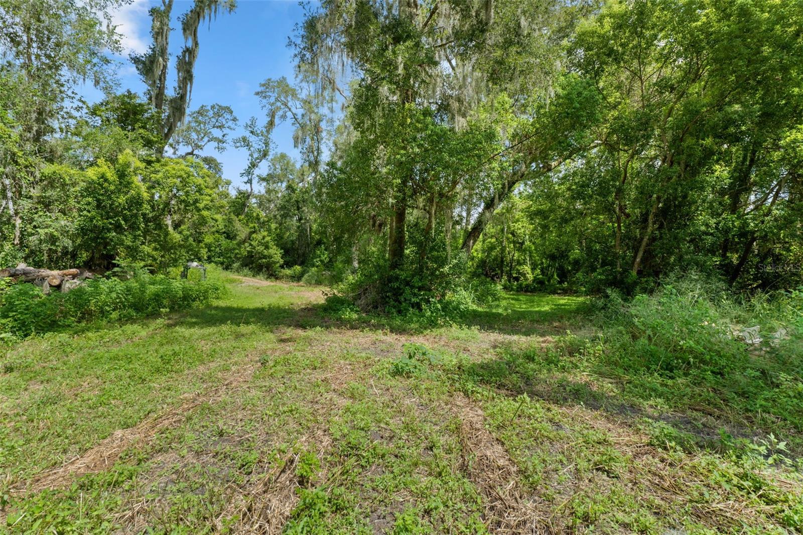 0 TRILBY CUTOFF RD — photo 5