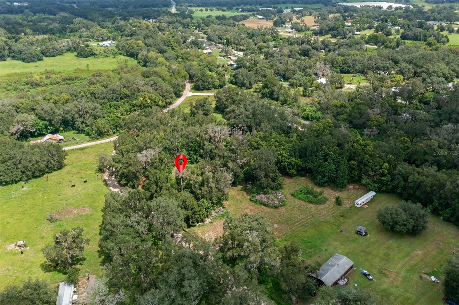 0 TRILBY CUTOFF RD — photo 10