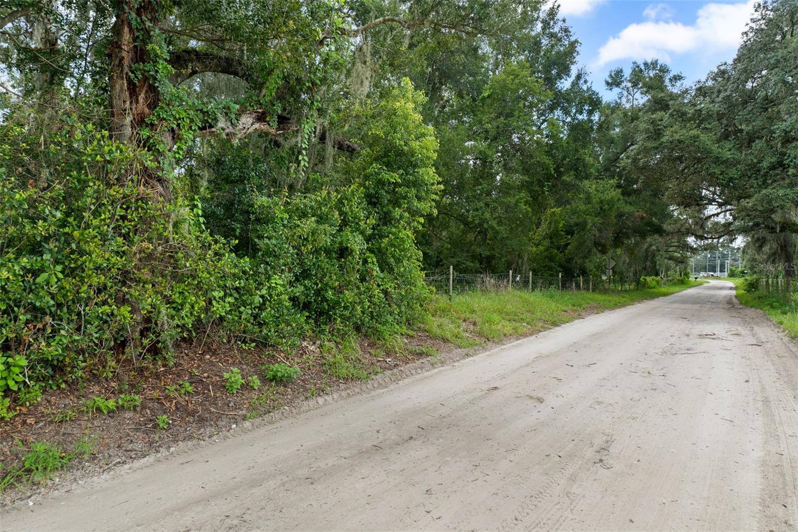 0 TRILBY CUTOFF RD — photo 6