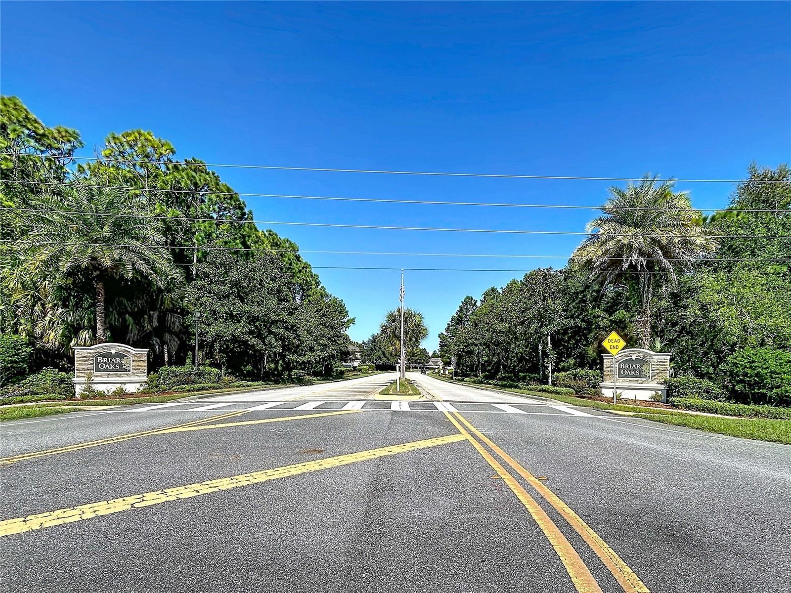 18607 BRIAR OAKS DR — photo 3