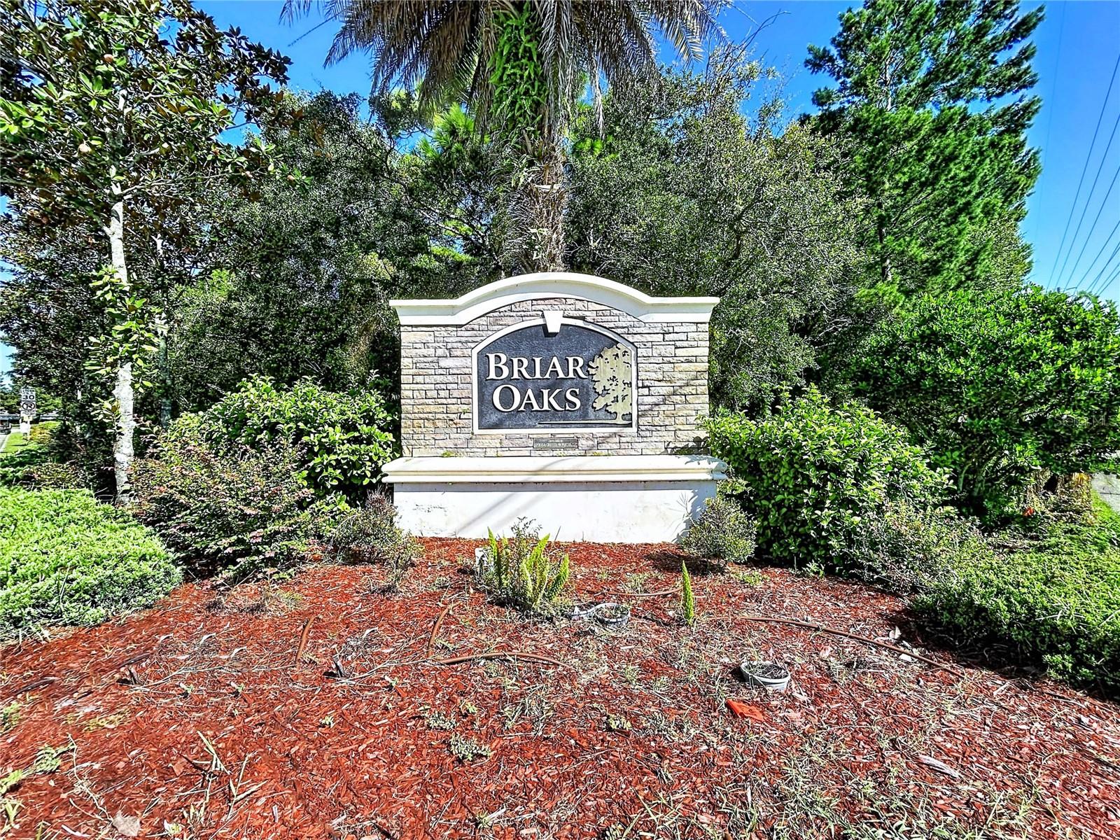 18607 BRIAR OAKS DR — photo 2