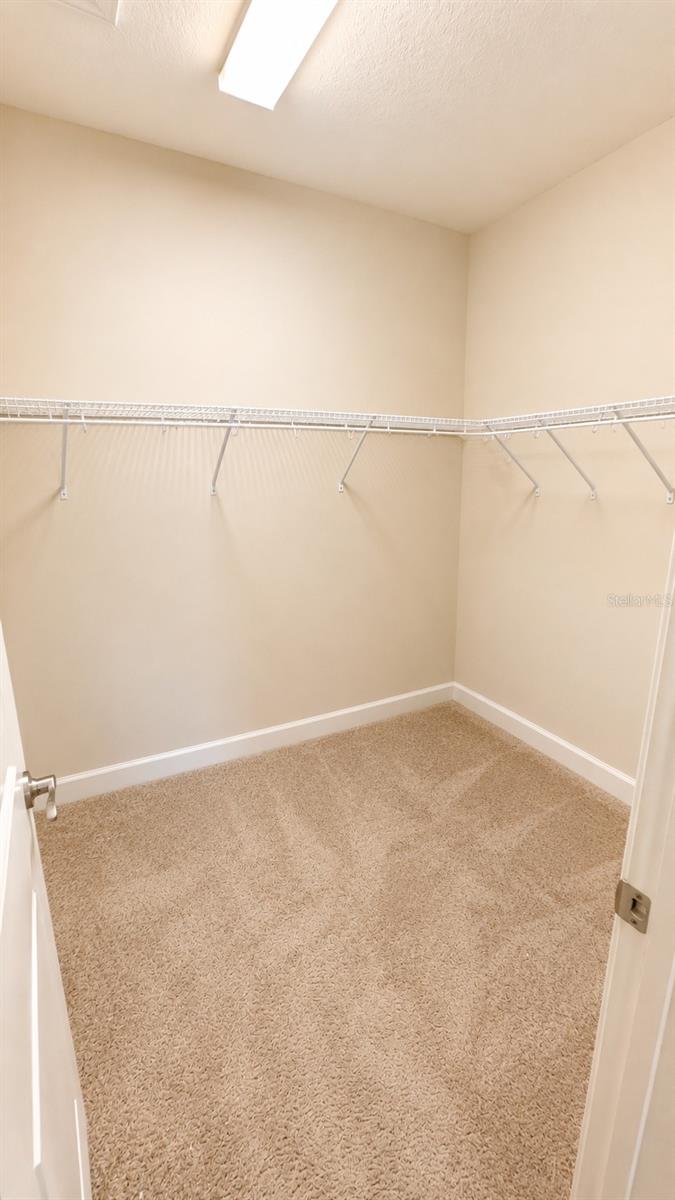 2519 VACCARO DR — photo 21