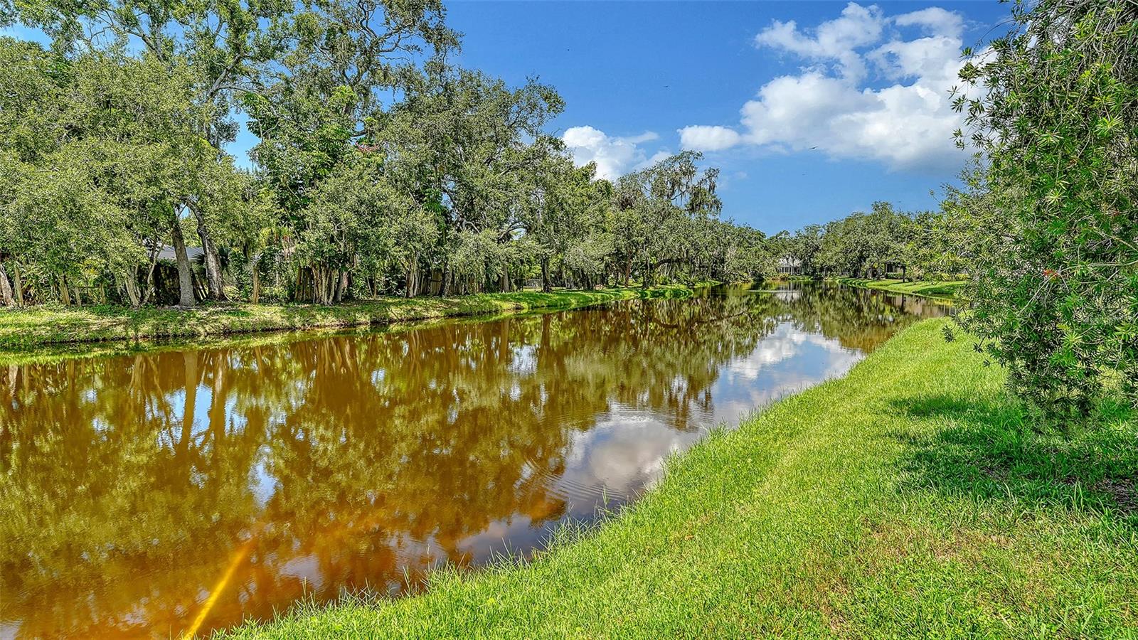 23 ARBOR OAKS DR — photo 32