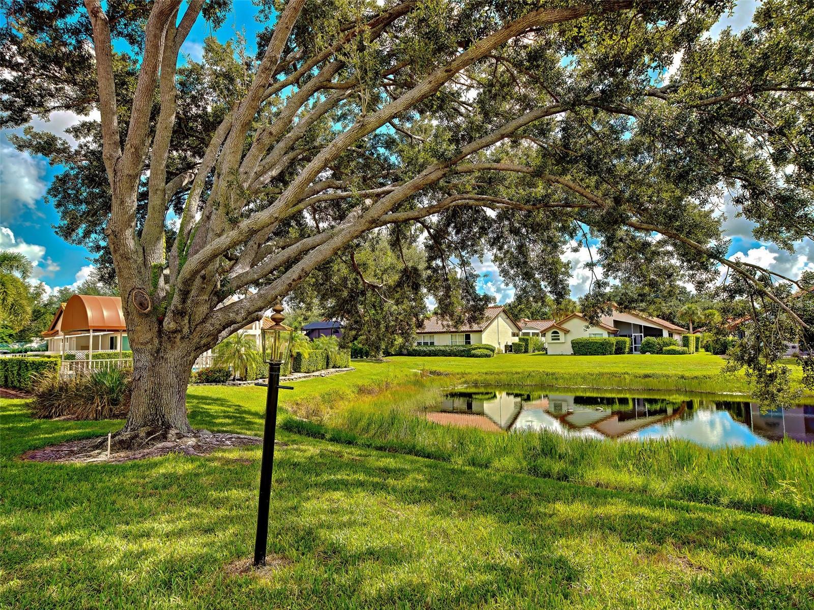 1176 HARBOR TOWN WAY — photo 42