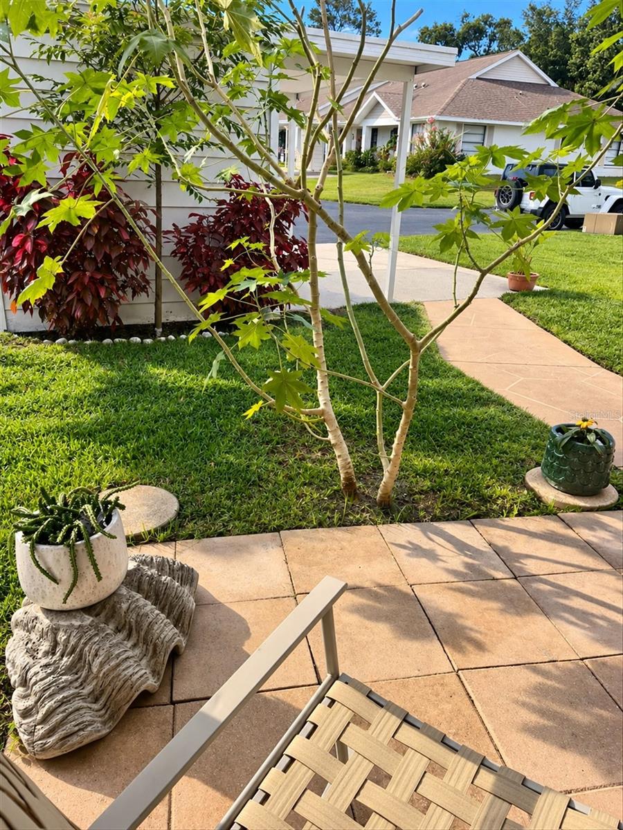10706 LAQUINTA DR — photo 50