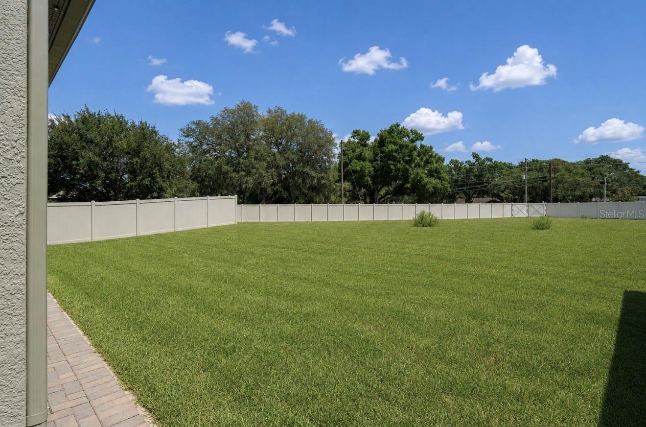 11510 SCARLET IBIS PL — photo 3