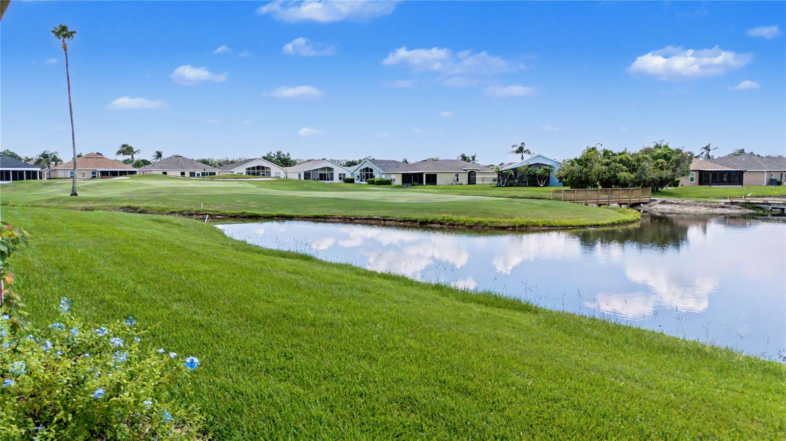 10231 CLEGHORN DR — photo 10