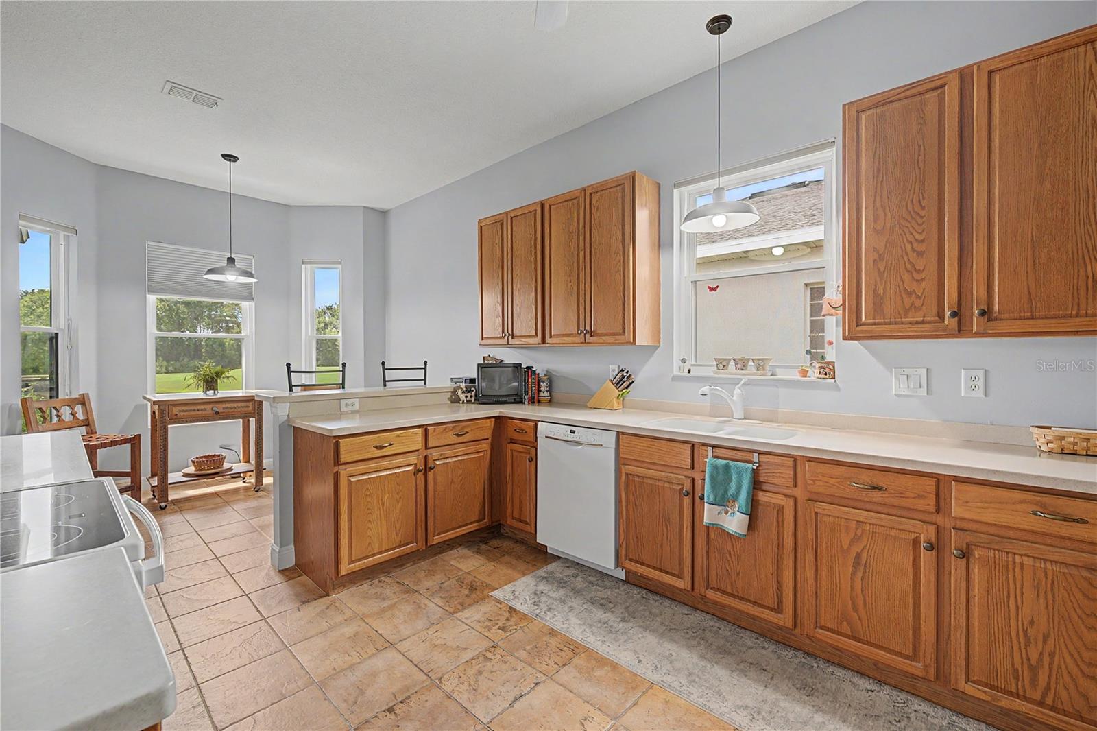 10231 CLEGHORN DR — photo 13