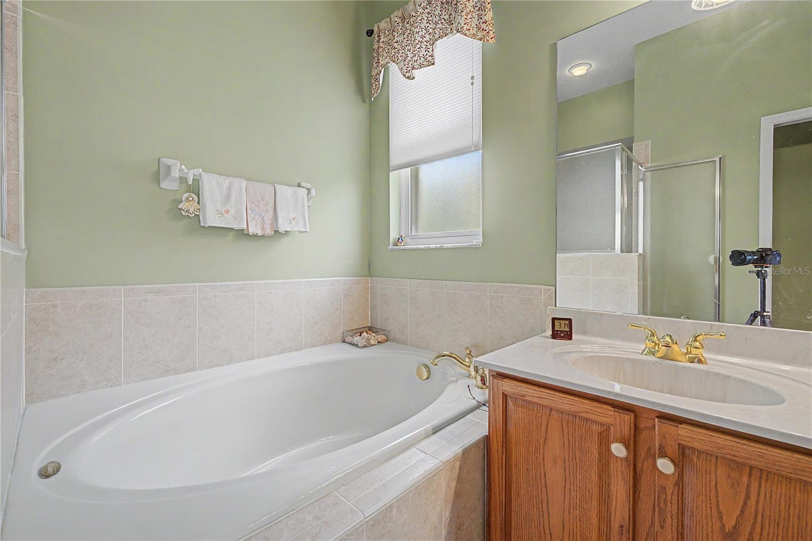10231 CLEGHORN DR — photo 36