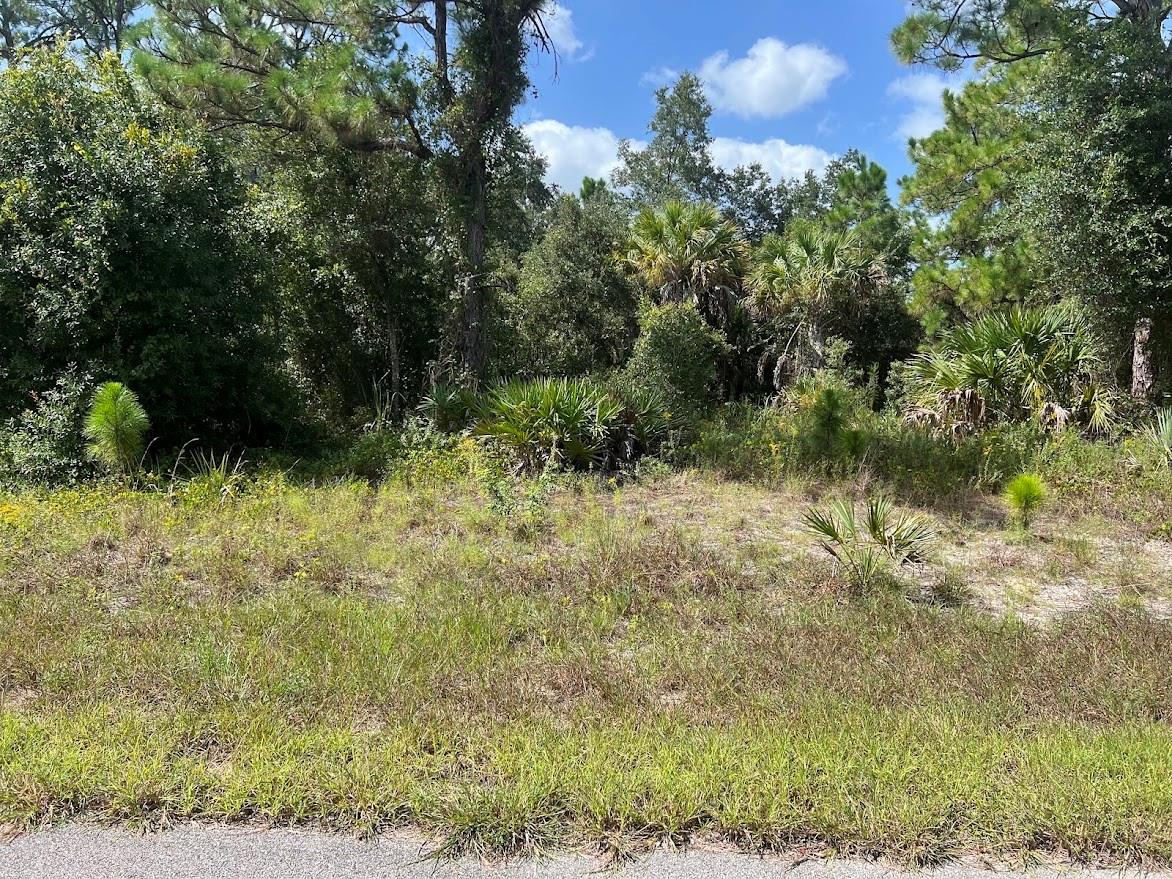 Lot 3 MATTOX CIR — photo 4
