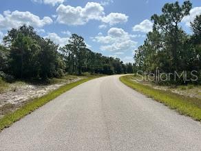 Lot 3 MATTOX CIR — photo 2
