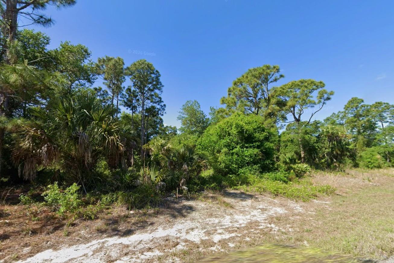 Lot 3 MATTOX CIR — photo 5