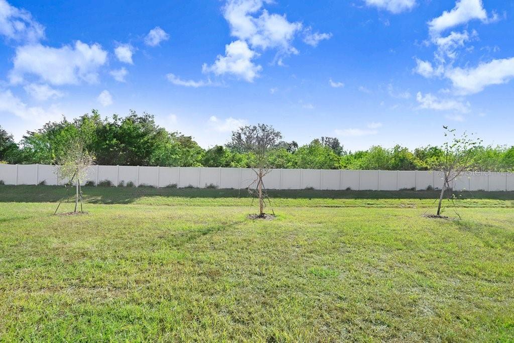 366 MANGROVE SHADE CIR — photo 25