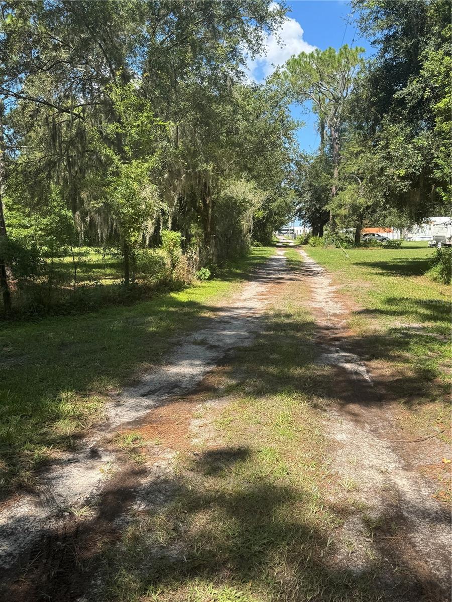 29244 SANIBEL DR — photo 4