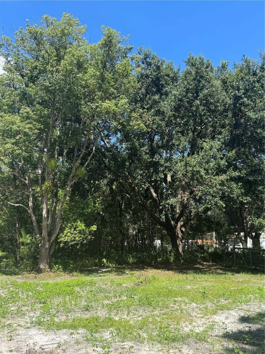29244 SANIBEL DR — photo 6