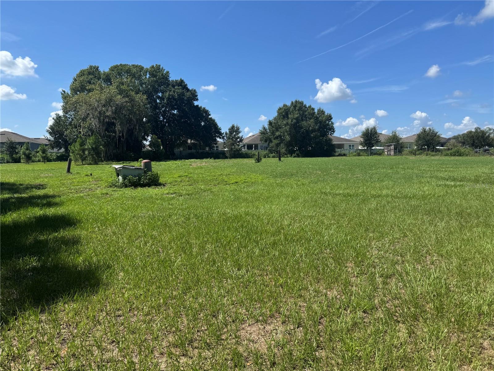 29244 SANIBEL DR — photo 5