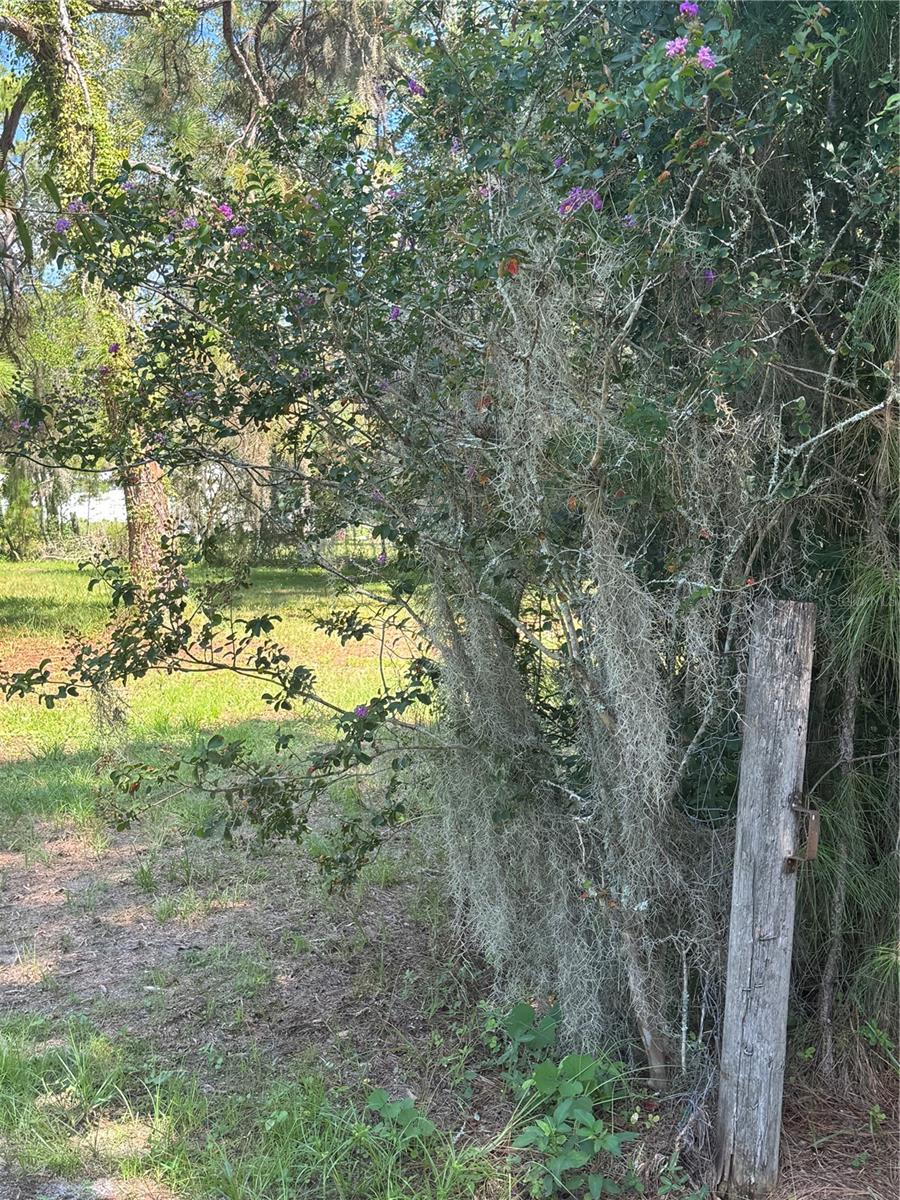 29244 SANIBEL DR — photo 7