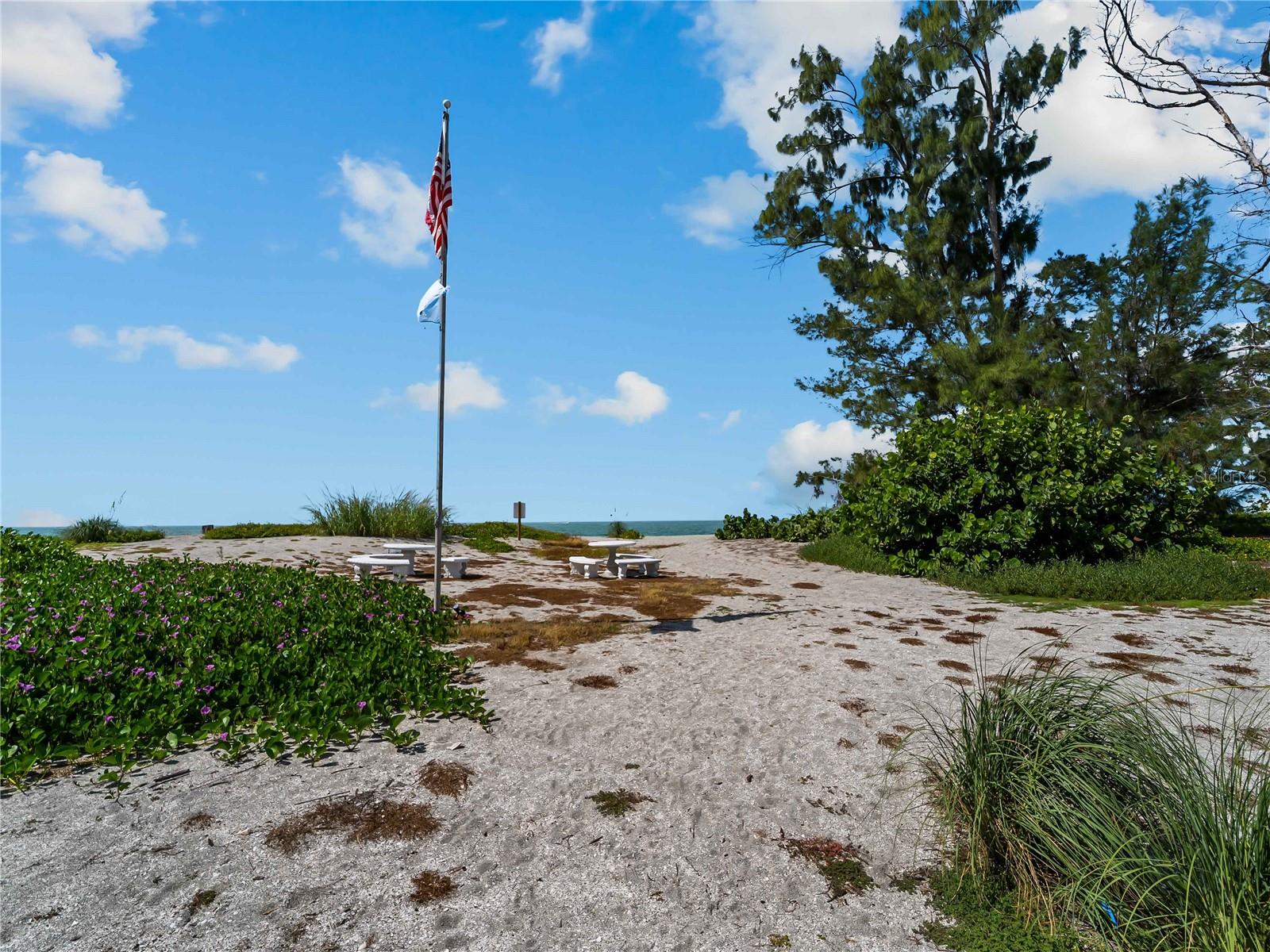 1585 TARPON CENTER DR #21 — photo 38